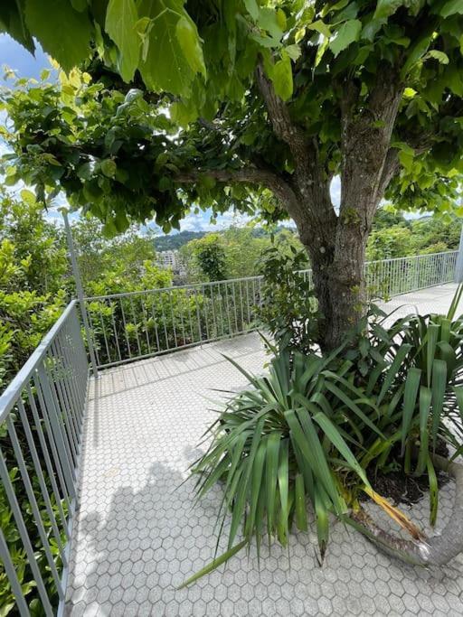 Paisible Eden Standing Terrasse - Magnifique Vue - Esprit Nature En Pleine Ville Tulle Bagian luar foto
