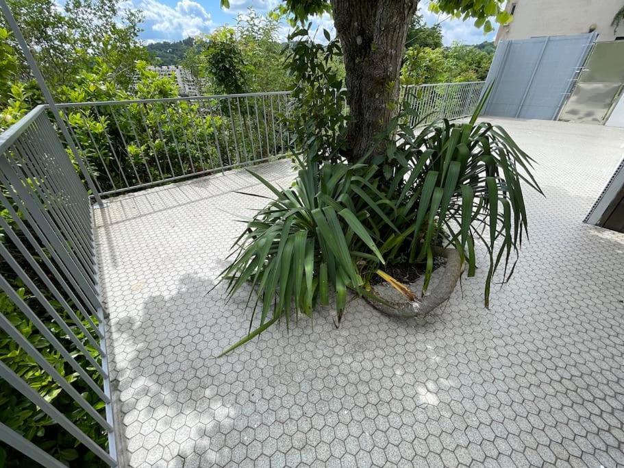 Paisible Eden Standing Terrasse - Magnifique Vue - Esprit Nature En Pleine Ville Tulle Bagian luar foto