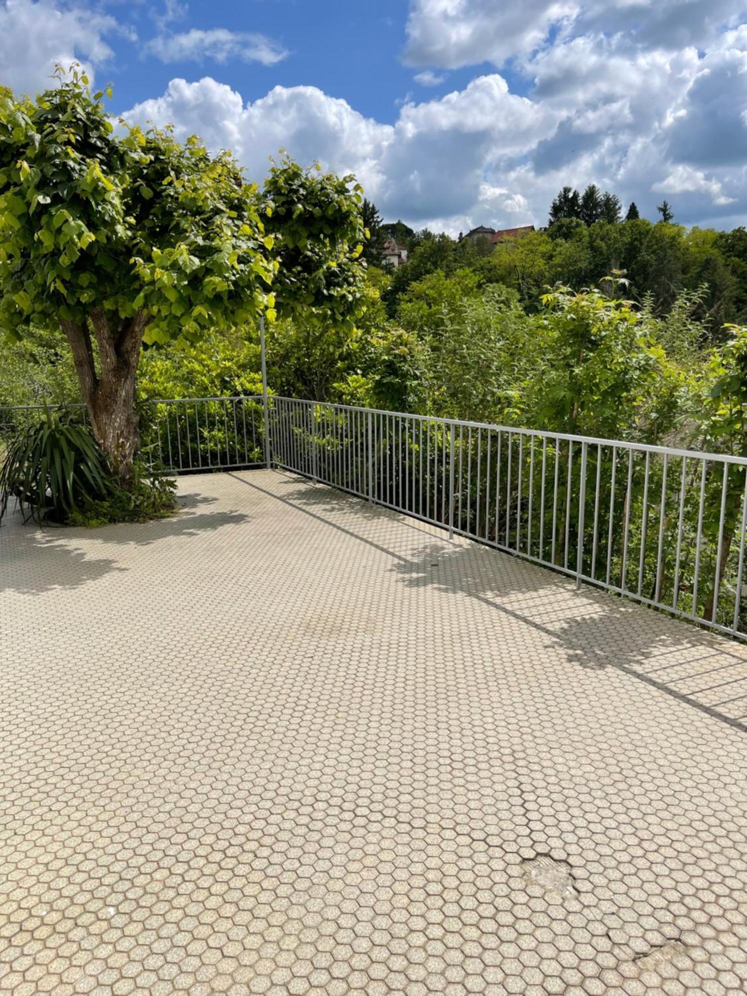 Paisible Eden Standing Terrasse - Magnifique Vue - Esprit Nature En Pleine Ville Tulle Bagian luar foto