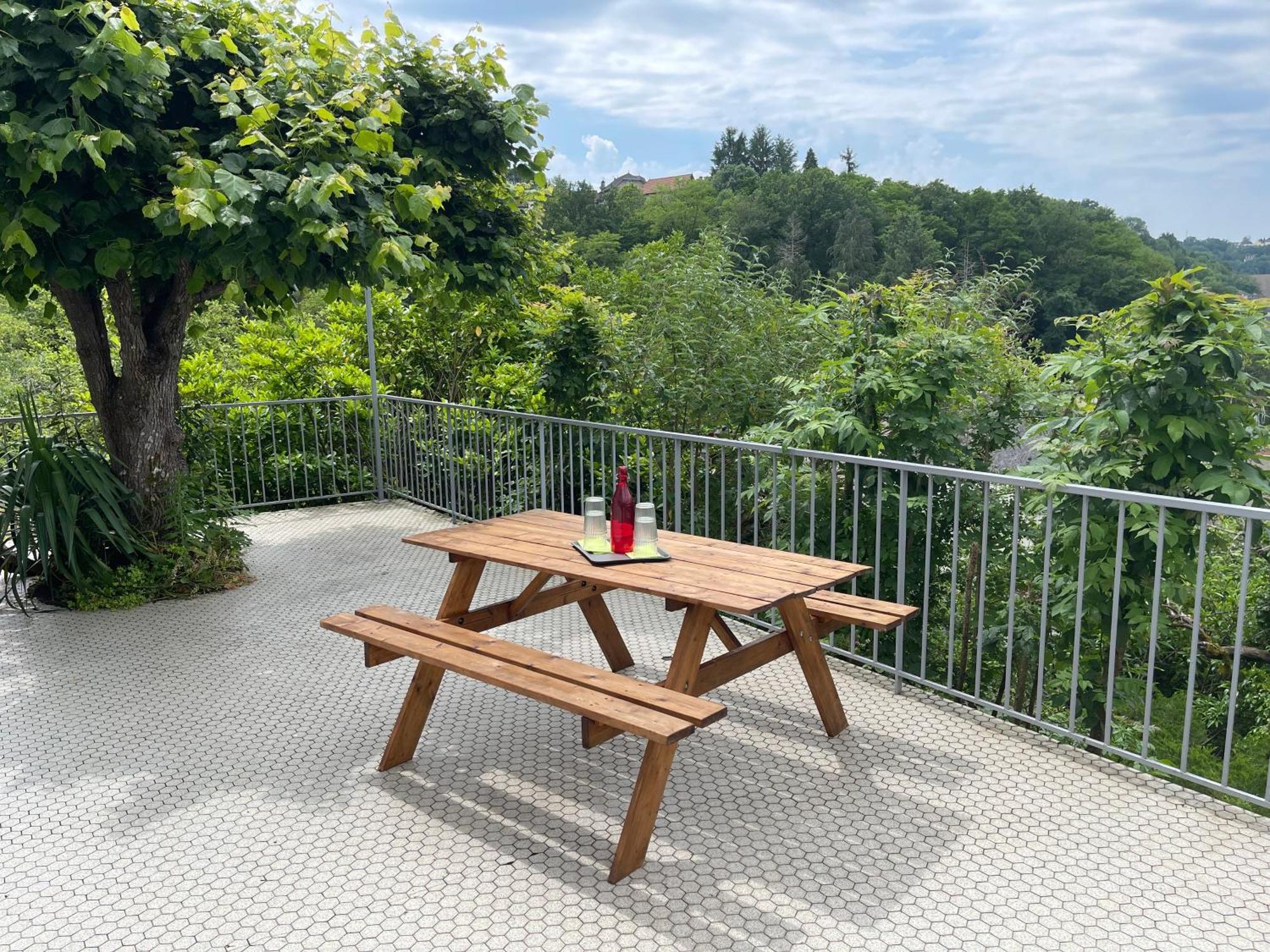 Paisible Eden Standing Terrasse - Magnifique Vue - Esprit Nature En Pleine Ville Tulle Bagian luar foto